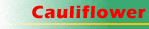 cauliflower.gif (3845 bytes)